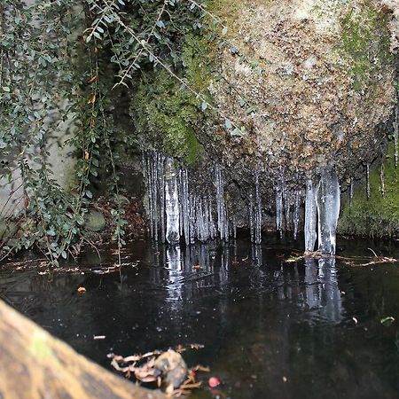 Pension Gluecklich Horgenzell Exteriör bild